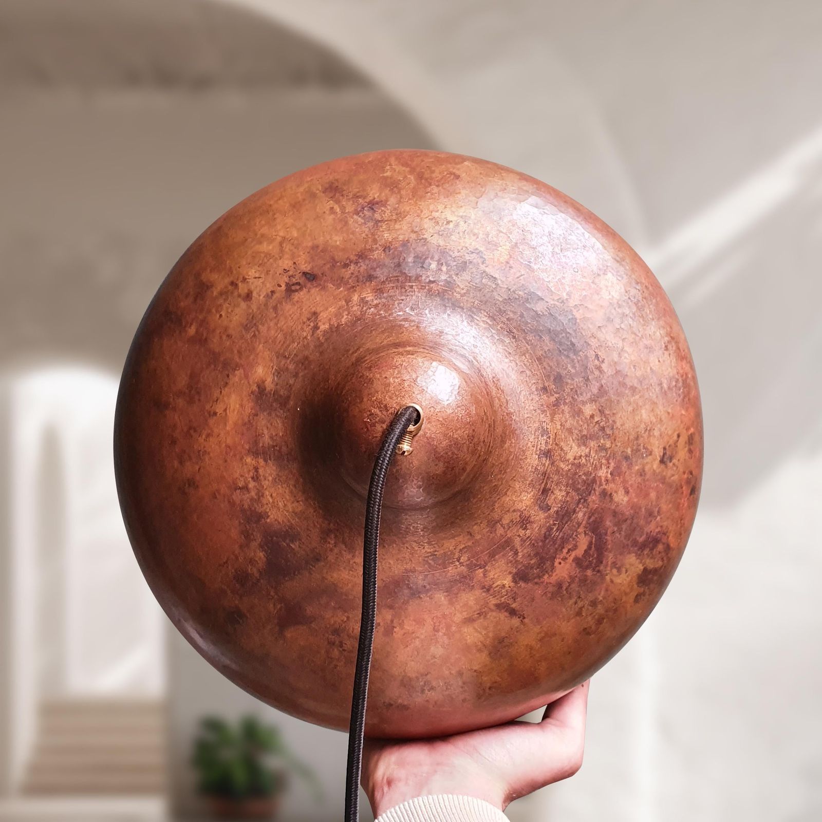 Hand holding a large, round, brown object with a textured surface against a neutral background